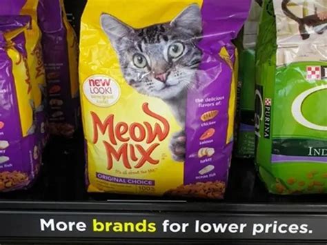 Tips For Feeding Your Cat On A Budget