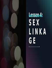 Understanding Sex Linkage And Blood Type Genetics Explained Course Hero