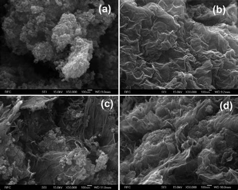 Sem Images Of A Fe O B Reduced Graphene Oxide C Graphene