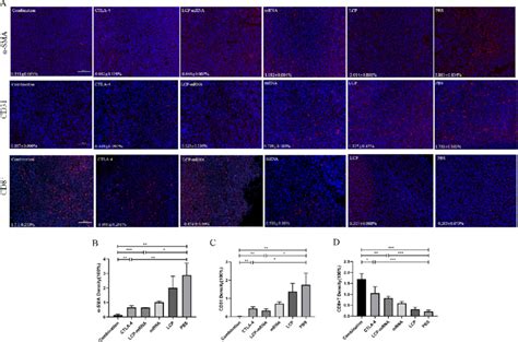 Changes Of Tumor Associated Fibroblast Tumor Vasculature And Cd T