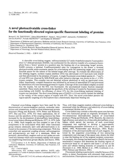 Pdf A Novel Photoactivatable Cross‐linker For The Functionally