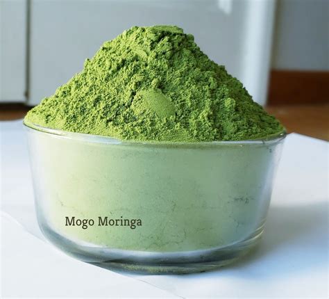 Organic Moringa Powder 1 10 LB Antioxidant Rich Weight Loss Raw