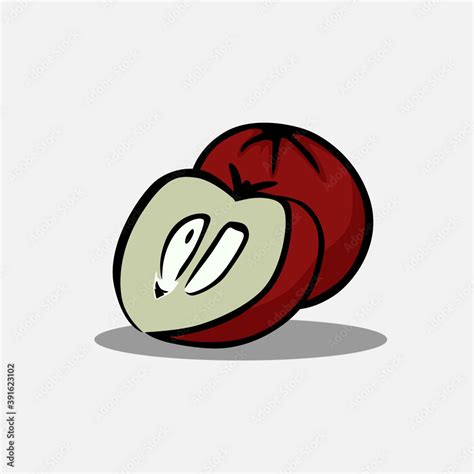 Vector illustration of mabolo. Fruit vector illustration. Stock Vector ...