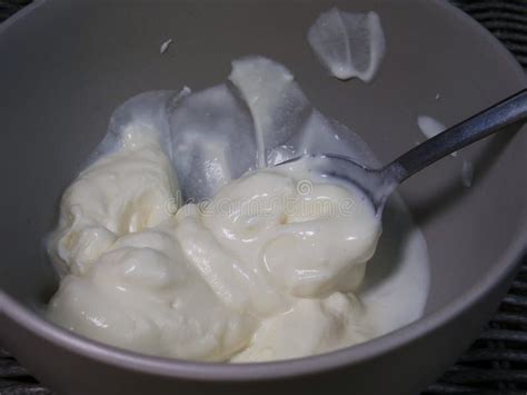 thick creamy greek yogurt stock   royalty  stock
