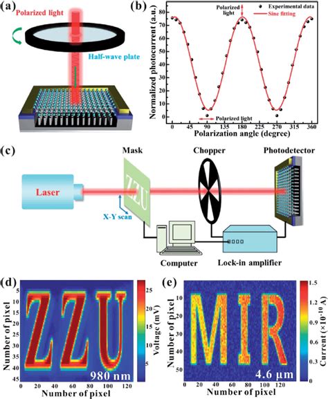 A Schematic Diagram Of The Experimental Setup For Polarization