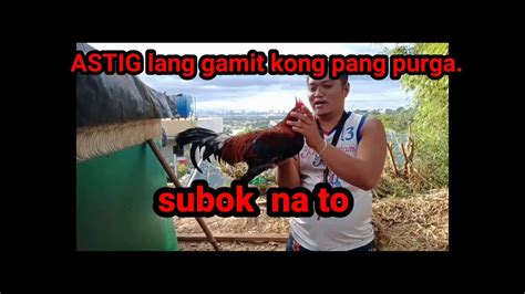 Astig Lang Ginagamit Kong Oang Purga Sa Mga Manok Namin YouTube