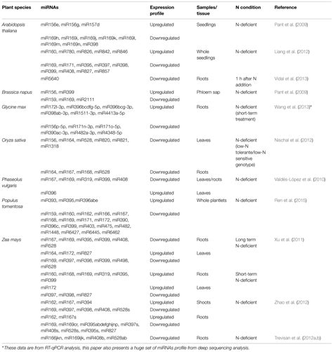 Frontiers NPK Macronutrients And MicroRNA Homeostasis