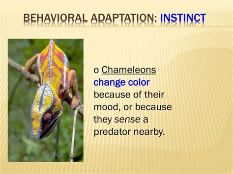 Ppt If An Environment Changes Plants And Animals Will Do 1 Of 3