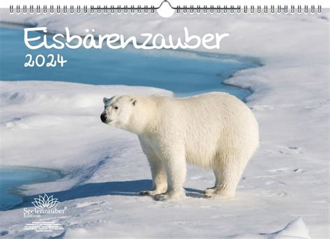 Eisbärenzauber DIN A3 Kalender für 2024 Eisbär Seelenzauber Amazon