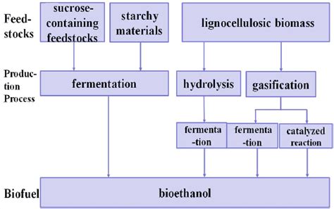 Feedstocks and production process of bioethanol | Download Scientific ...