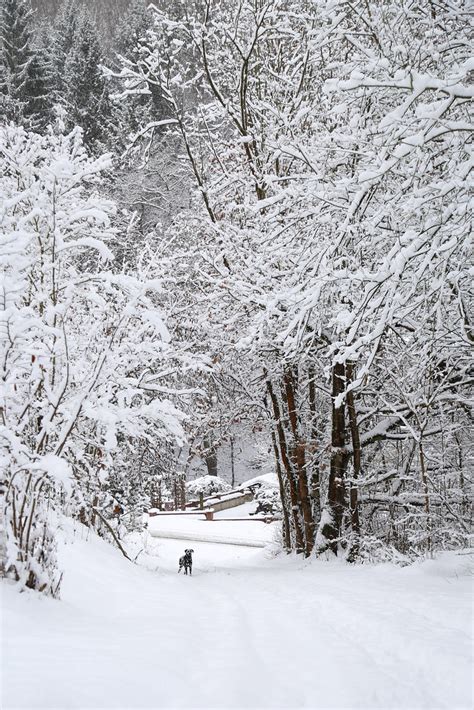 Winter Wonderland Januar 2017 Canon EOS 6D EF 24 105mm F 4 Flickr