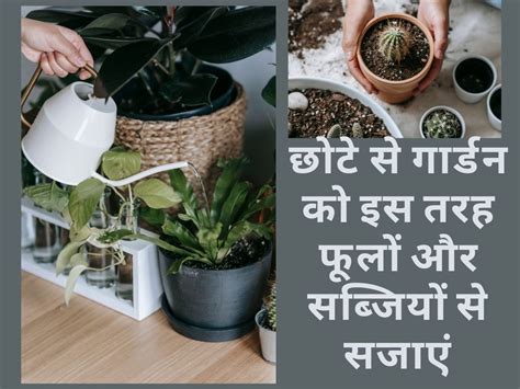 Gardening Tips Easy Home Gardening Tips Home Gardening Tips कम जगह