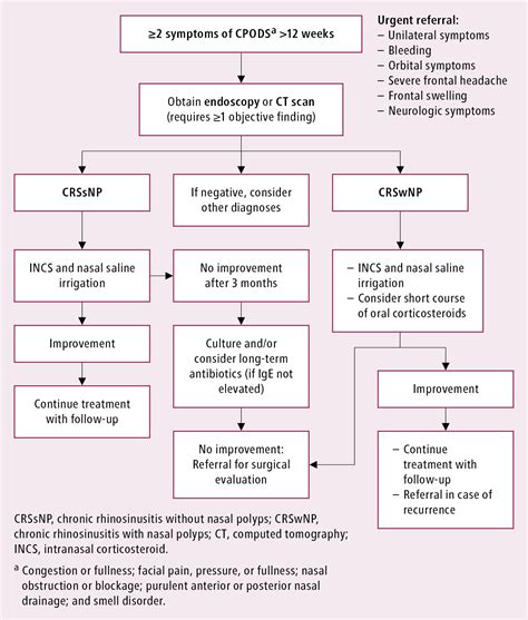 Rhinosinusitis Respirology Diseases Mcmaster Textbook Of Internal