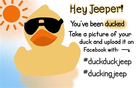 a duck with sunglasses on it's head and the caption hey jeeper you've ...