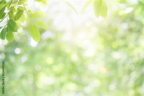 Beautiful nature view of green leaf on blurred greenery background in ...