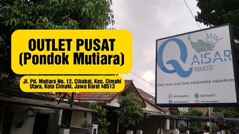 Toko Ikan Hias Lengkap Di Kota Cimahi Outlet Pusat Youtube