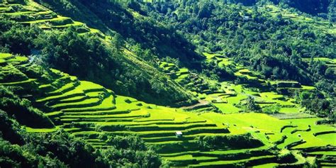 Catampan Rice Terraces - Kapangan, Benguet