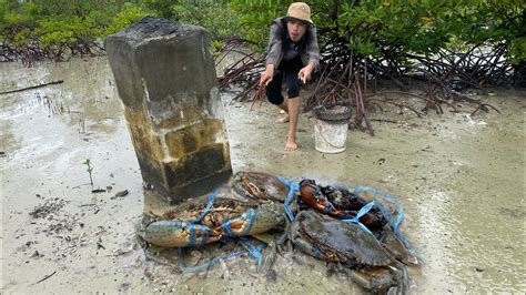 Wow Wow So Big Crabs Catching Crabs Giant Mud Crab After Low Tide