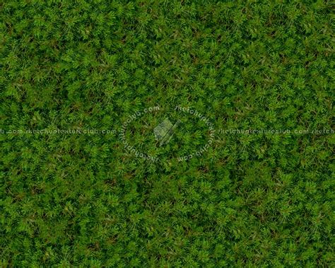 Green Grass Textures Seamless