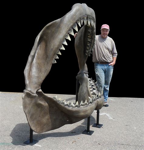 Megalodon Jaws Vs Great White Jaws