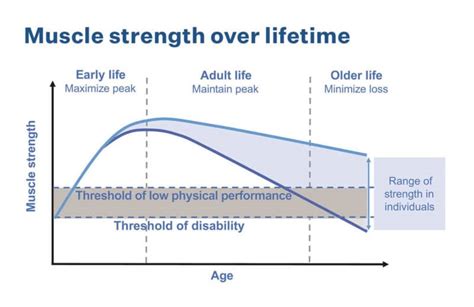 Sarcopenia If You Re Over 65 You Need To Know This Term AND How To