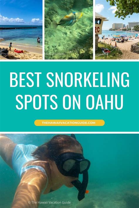 The best snorkeling spots on Oahu | Best snorkeling, Hawaii vacation ...