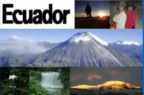 Principales Ecosistemas Del Ecuador Cu Les Son The Best Porn Website