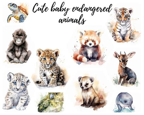 11 Endangered Species Baby Animals Watercolor Clipart, Jpegs, Digital ...