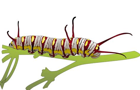 Caterpillar Inc Clip Art Caterpillar Png Transparent Images Png