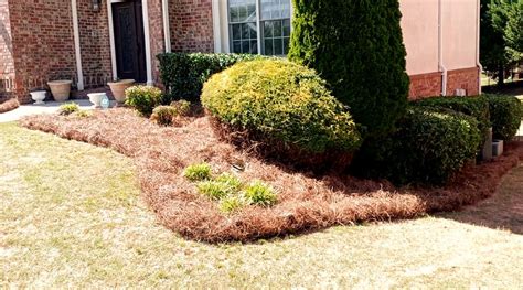 Pine Straw | WINN PRO TURF MANAGEMENT LLC