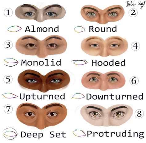 The Different Types Of Eyes And How They Are Used To Make Them Look