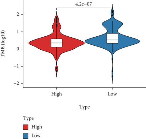 Somatic Mutation Summary Plots And Oncoplots Between The A B High