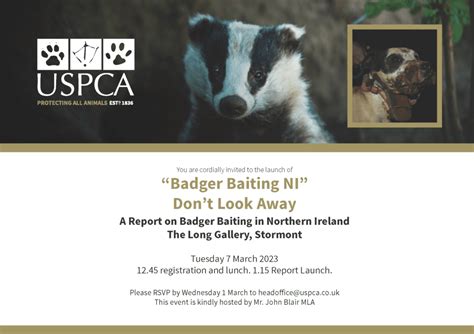 “Badger Baiting NI” - Don’t Look Away - NI Environment Link