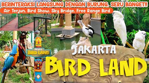 WISATA ANCOL TERBARU JAKARTA BIRD LAND ANCOL Seru Banget YouTube