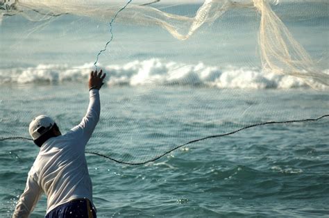 Pide Congreso Que Se Expida Reglamento De La Ley General De Pesca Y