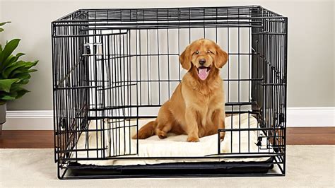 Choosing the Best 42-Inch Dog Crate with Divider – Yokum Gear