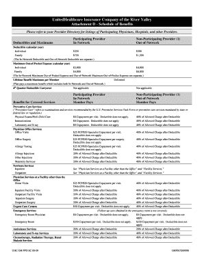 Fillable Online The In Network Deductible And Out Of Network