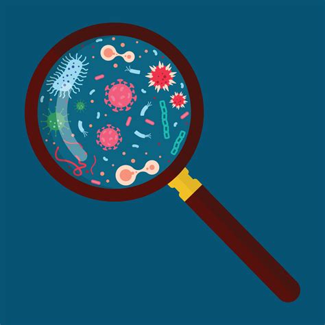 Magnifying glass with virus and bacteria 16189293 Vector Art at Vecteezy