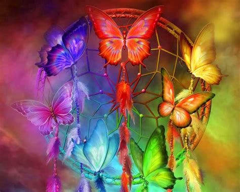 Rainbow Butterfly Wallpaper