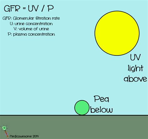 Medicowesome: Glomerular filtration rate formula and mnemonic