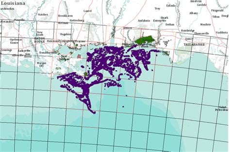 Deepwater Horizon Gulf of Mexico oil spill, projected for 7/2/2010 ...