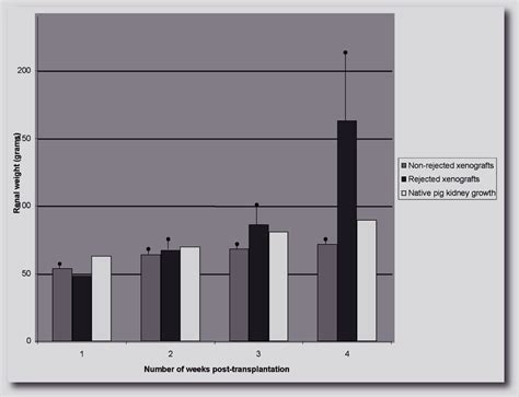 Correlation between xenograft weight and rejection. | Download ...