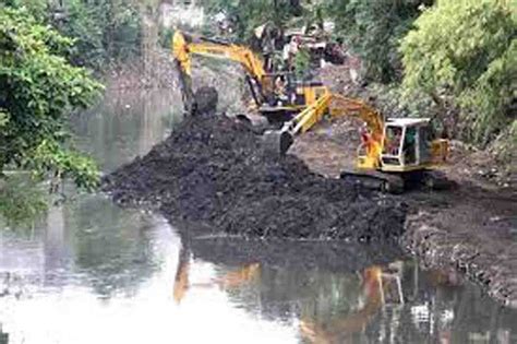 Hc Tells Govt To Maintain Biodiversity In Areas Affected By River