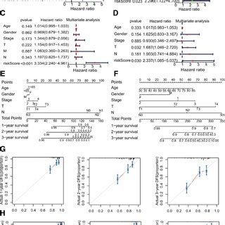 Independent Prognostic Analysis Of The 7 Gene Signature And