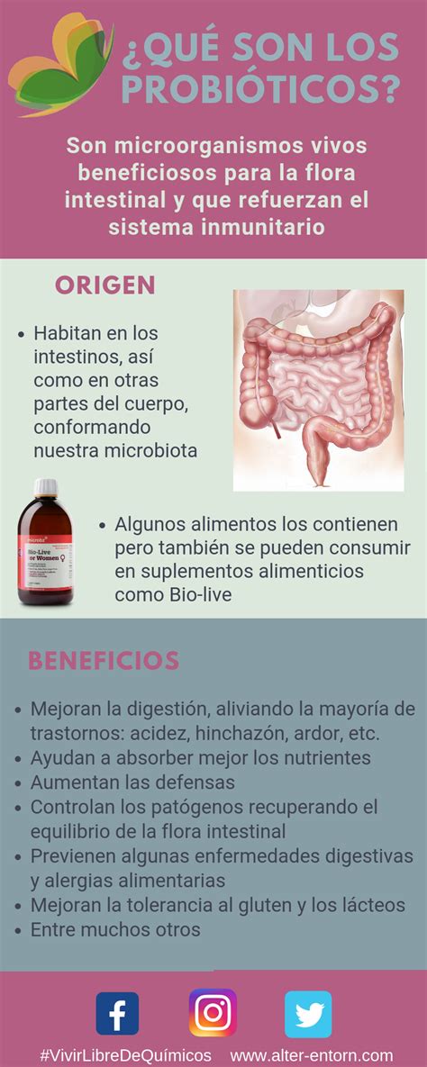 ¿qué Son Los Probióticos Principales Beneficios Y Funciones