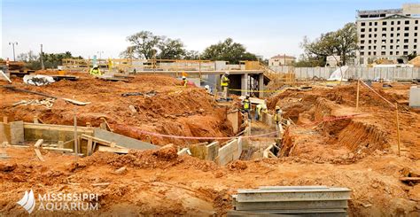 Mississippi Aquarium Birdsong Construction