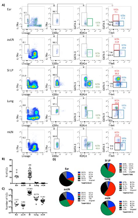 Identification Of ILC Groups In Different Tissues Using Transcription