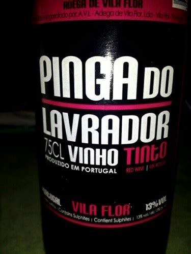 Adega Cooperativa De Vila Flor Pinga Do Lavrador Tinto Vivino Brasil