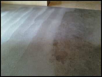 Yourcity Yourstate Aa Natural Carpet Cleaning How To Clean Carpet