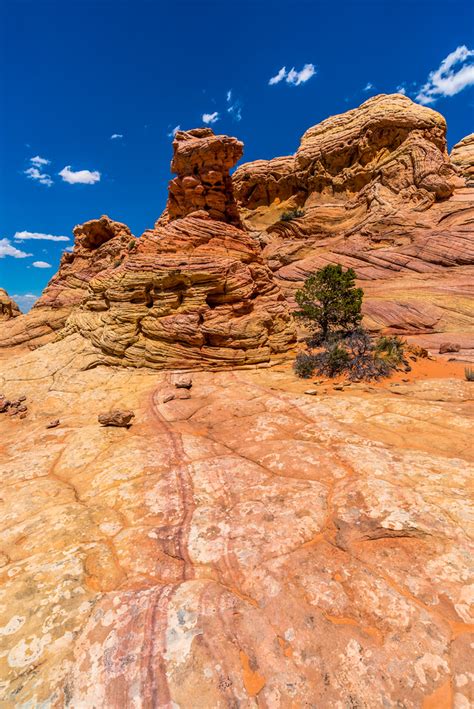 Cottonwood Cove Coyote Buttes South Paria Canyon Vermi Flickr